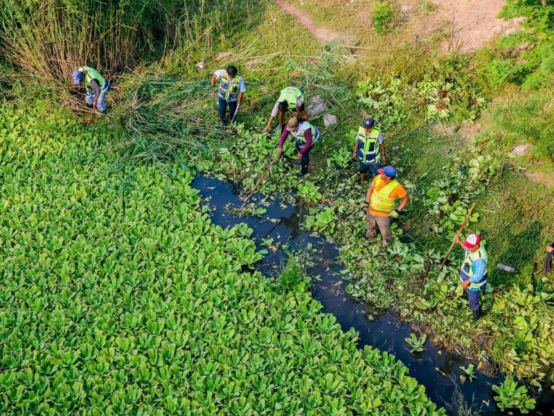 Realizan deslame del río las nutrias como prevención ante paludismo