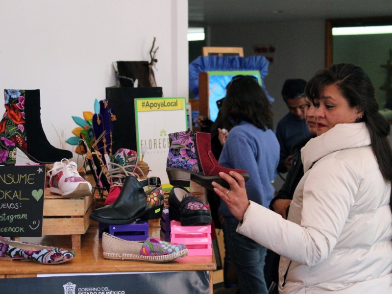 Realizan en Valle de Bravo expo emprendimiento