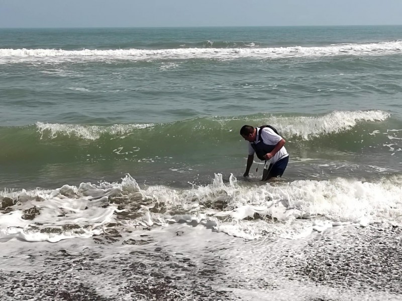 Realizan estudio a las playas del estado Veracruz