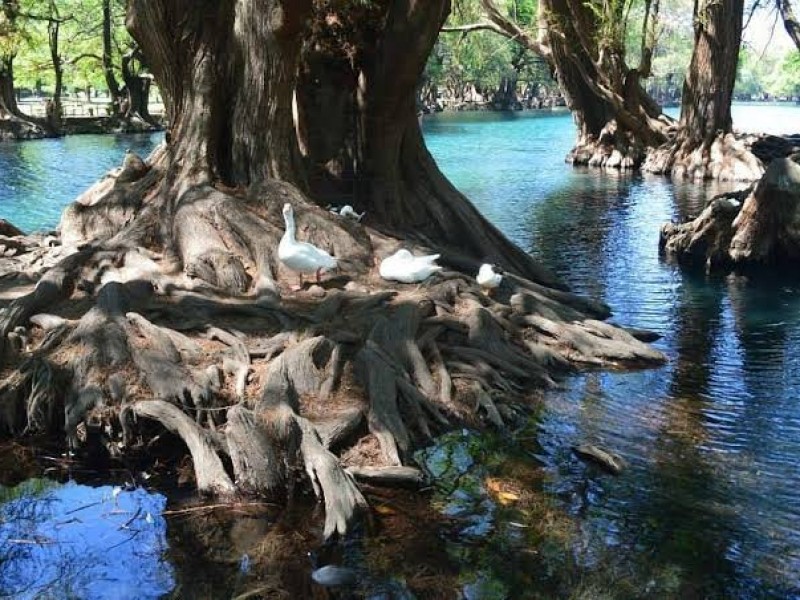 Realizan estudio para conocer flujo de agua de Camécuaro