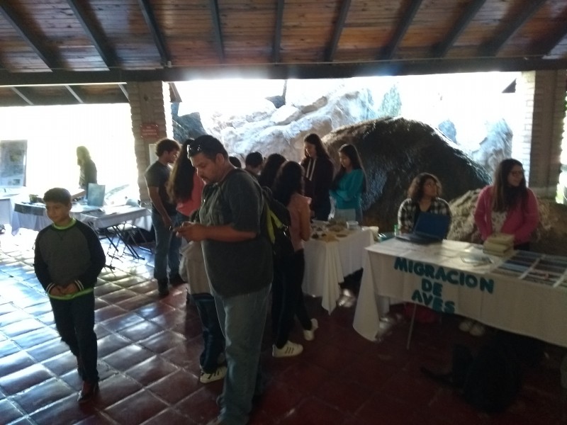 Realizan “Festival Sonorense de las Aves