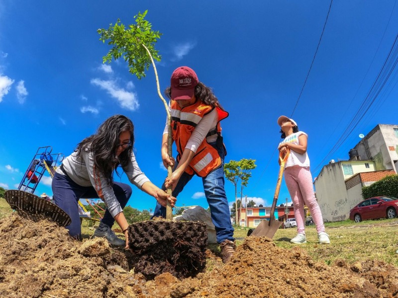Realizan jornada comunitaria en distintas áreas verdes de Xalapa