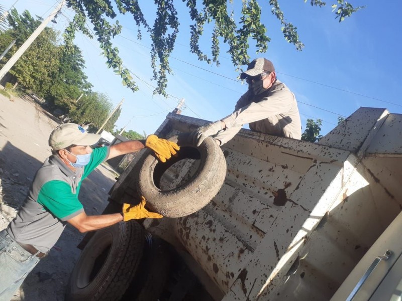 Intensifican acciones contra el dengue en Ahome