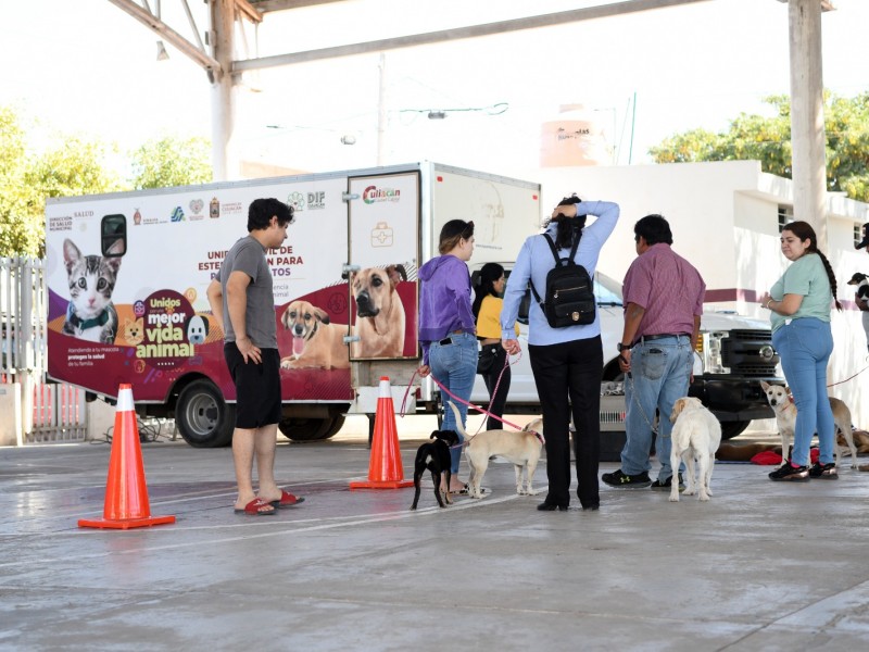 Realizan Jornada de Esterilización en la colonia CNOP