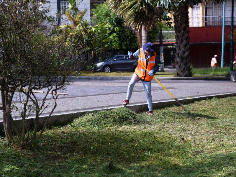 Realizan jornada de mantenimiento de áreas verdes en Xalapa
