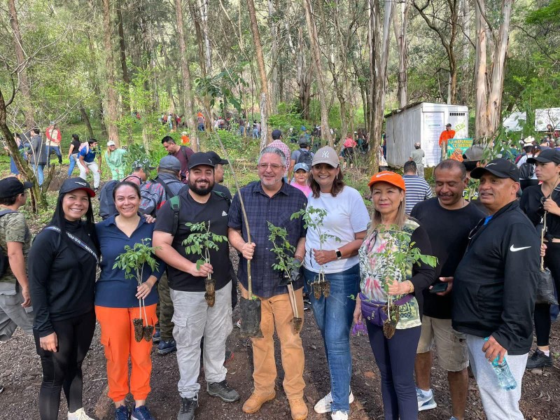 Realizan jornada de reforestación en el cerro de San Juan