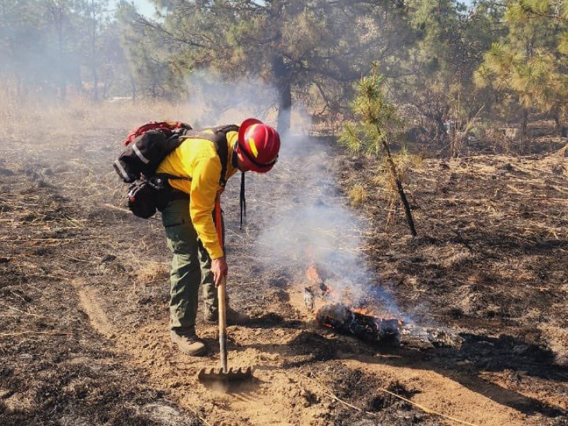 Realizan labores de enfriamiento en el Bosque La Primavera