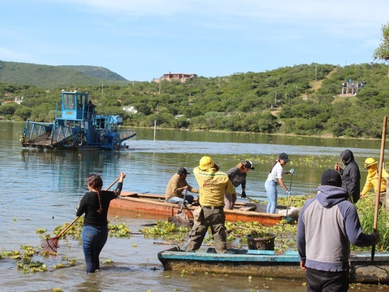 Realizan limpieza de la presa Yosocuta para su saneamiento