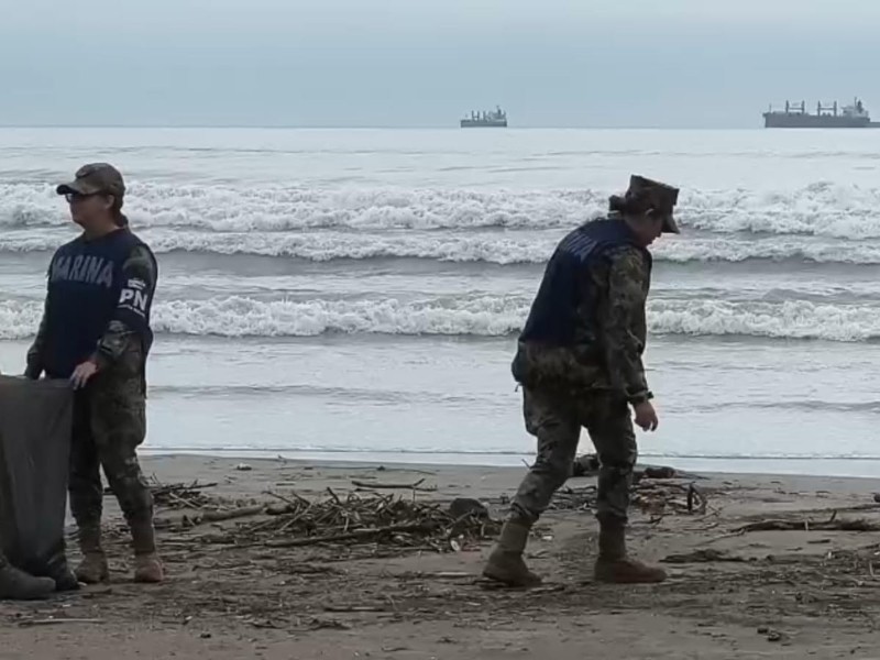 Realizan limpieza de palizada en playas de la conurbación
