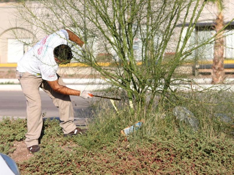 Realizan limpieza del Río Escondido