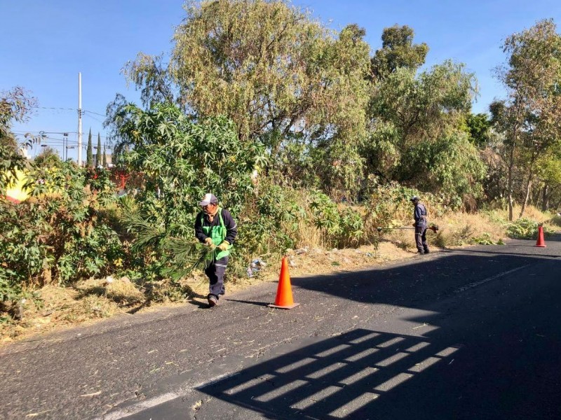 Realizan limpieza en bordes de ríos en Morelia