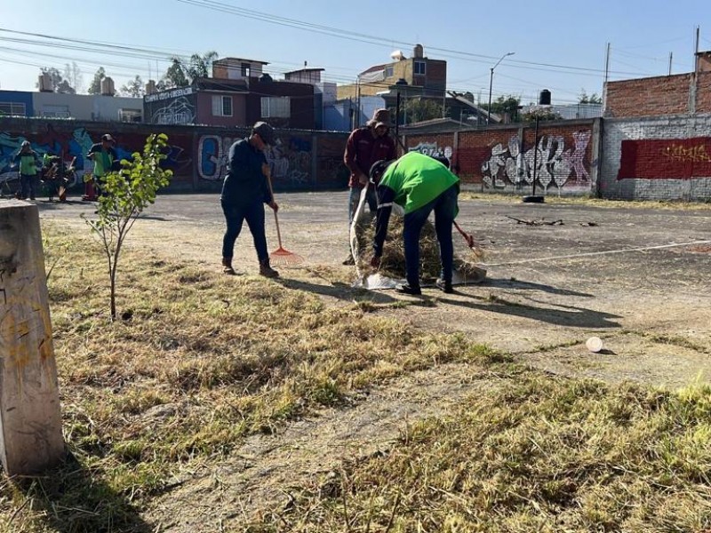 Realizan limpieza en el Fraccionamiento Valladolid y Cepamisa
