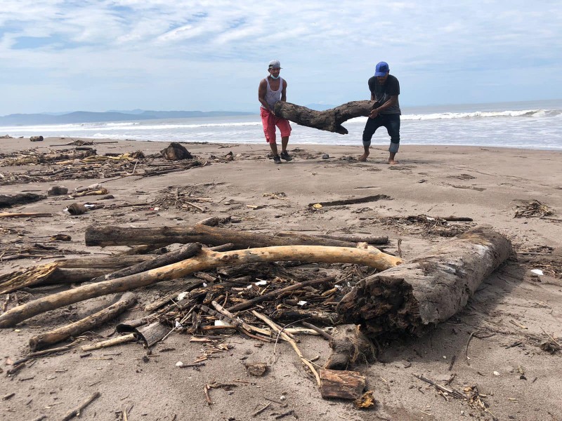 Realizan limpieza en  playa 