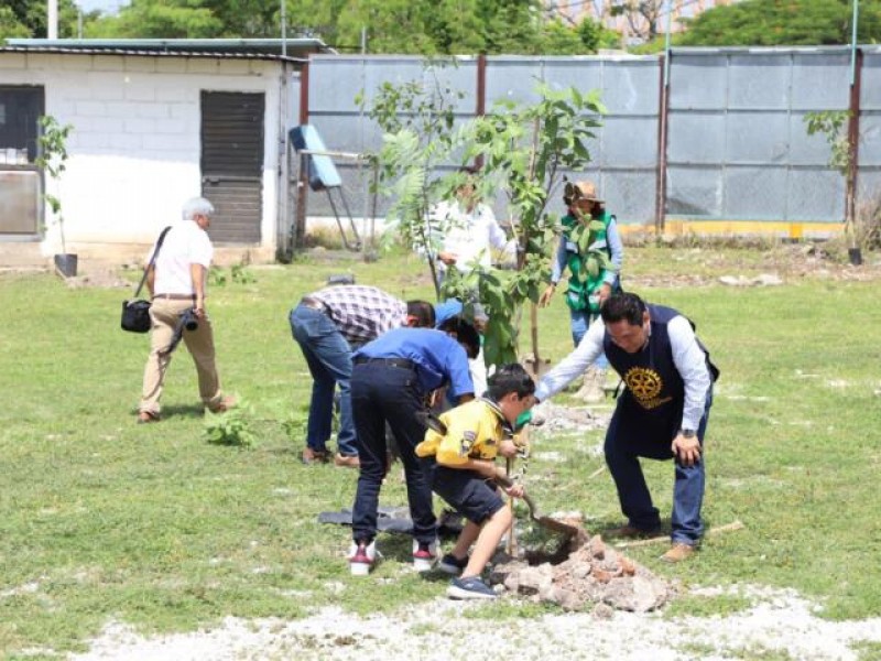Realizan nueva jornada de reforestación en Tuxtla Gutiérrez