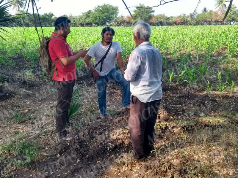 Realizan padrón de agricultores de Juchitán