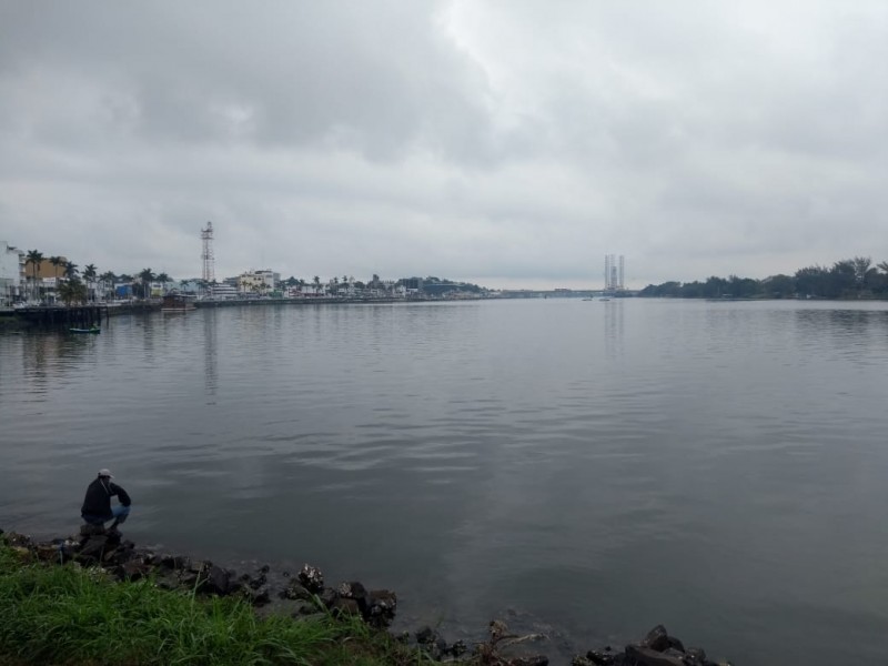 Realizan poda de ramas de árboles por FFN36