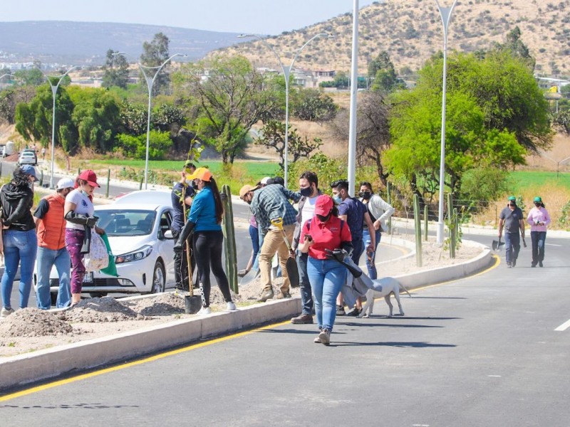 Realizan primera reforestación en San Juan del Río