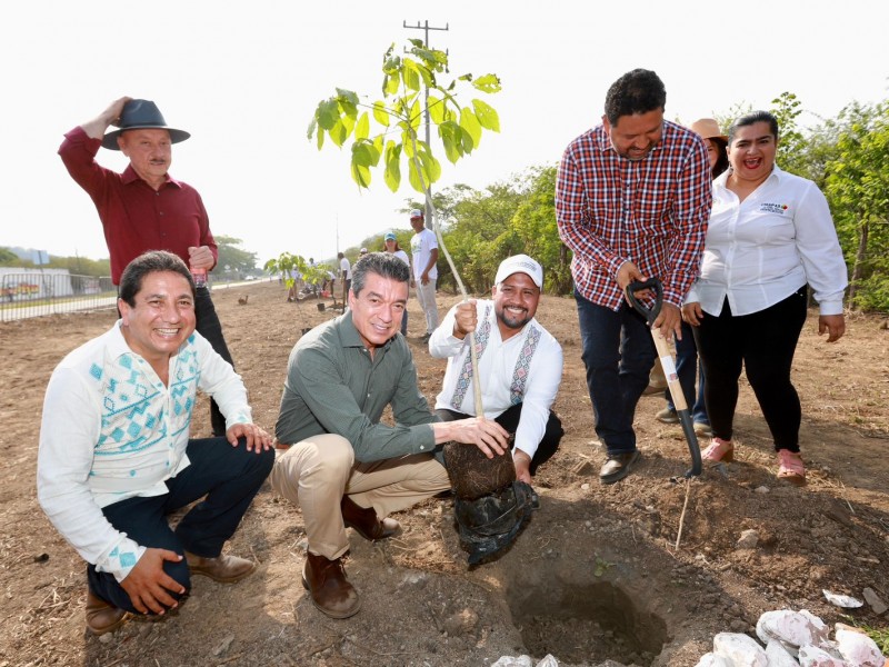 Realizan reforestación del “Corredor La Primavera