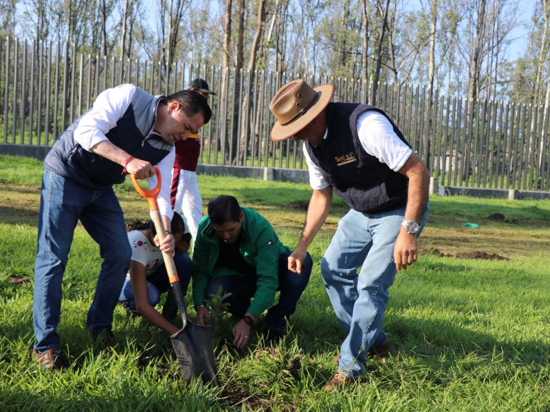 Realizan reforestación en el plantel del ITM