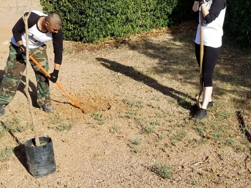 Realizan reforestación en Unison jóvenes de Eco Barrio