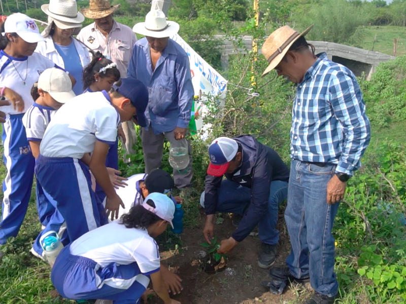 Realizan reforestación territorial en El Espinal