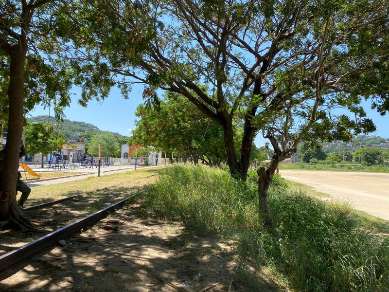 Donan plantas, pendiente reforestacion en Salina Cruz