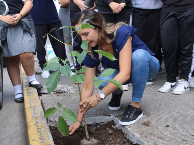 Realizan sustitución de bolardos por árboles en Zamora