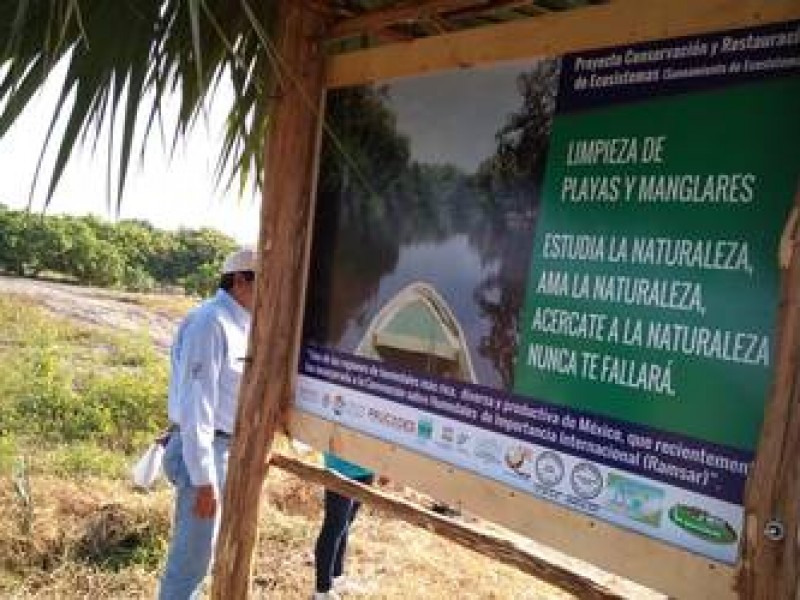 Realizan trabajos de limpieza en playas de Mazatán