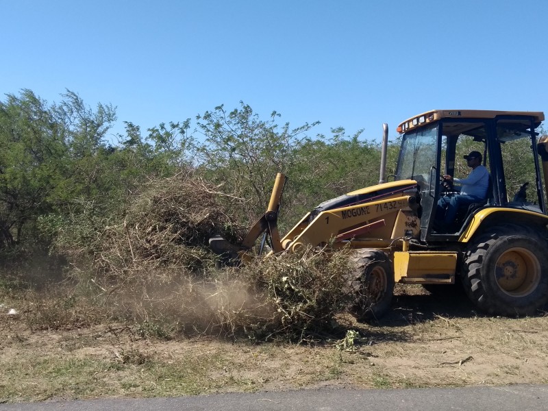 Realizan trabajos de limpieza en Santa María Xadani