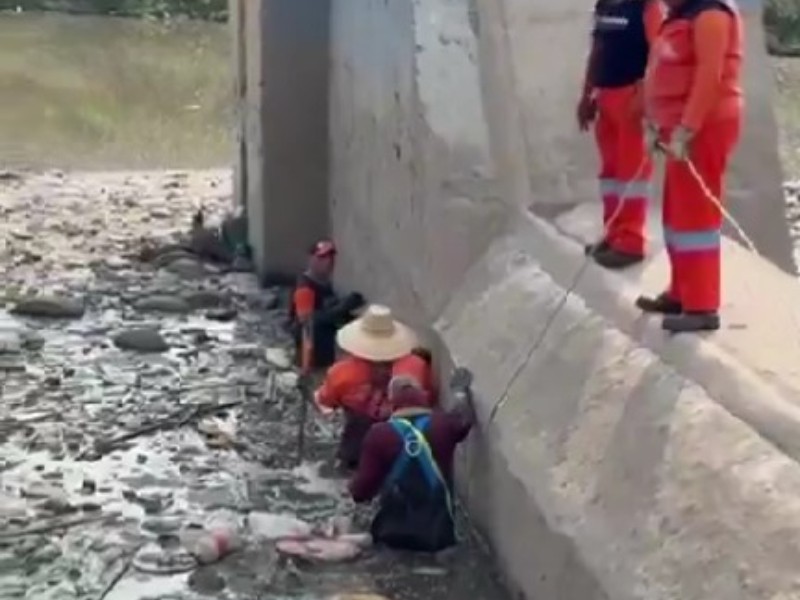 Realizan trabajos de mantenimiento en vasos reguladores