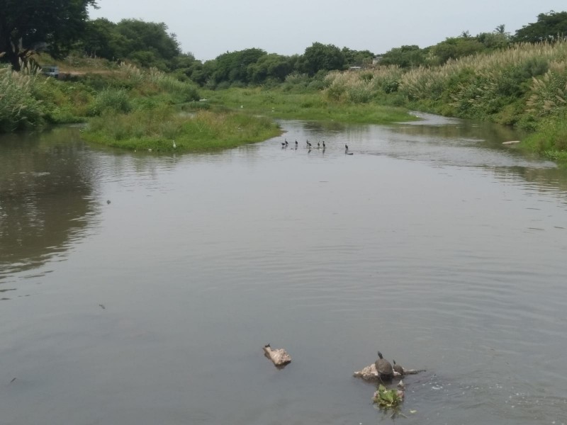 Realizará Conagua desazolve del río Los Perros en Juchitán