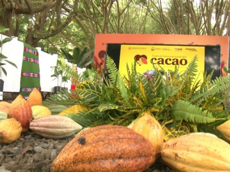 Realizarán 1er Festival Internacional del Cacao en Tuxtla Chico