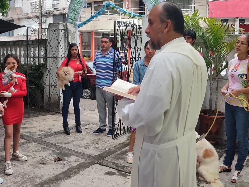 Realizarán bendición de animales en la Catedral de Tuxpan