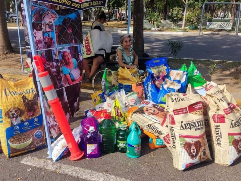 Realizarán Croquetón este domingo para apoyar a 350 perros