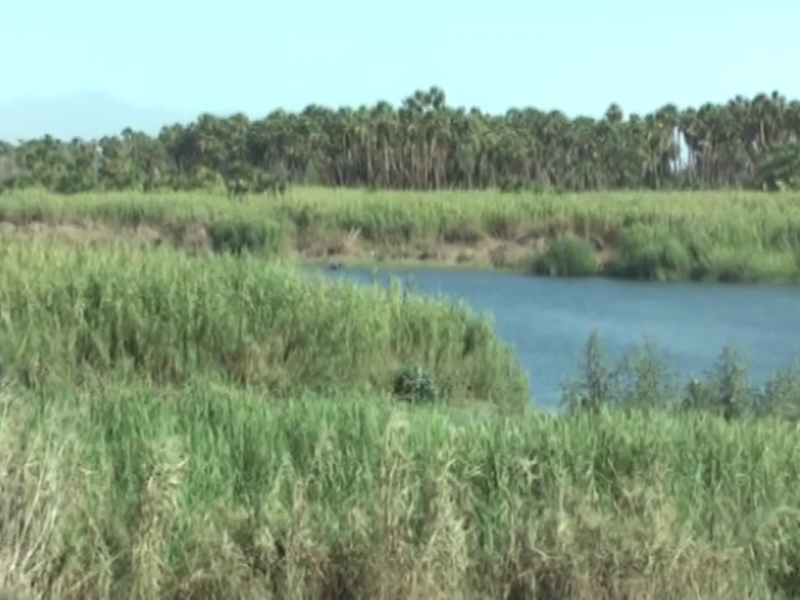 Realizarán diagnóstico sobre el Estero