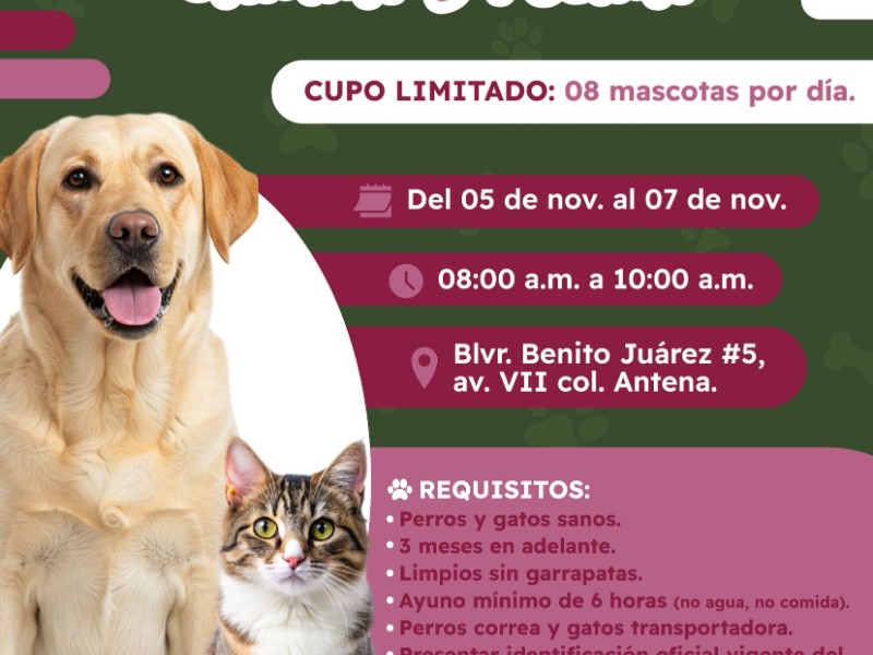 Realizarán jornada de esterilización de mascotas del 5 al 7 de noviembre Realizarán jornada de esterilización de mascotas del 5 al 7 de noviembre