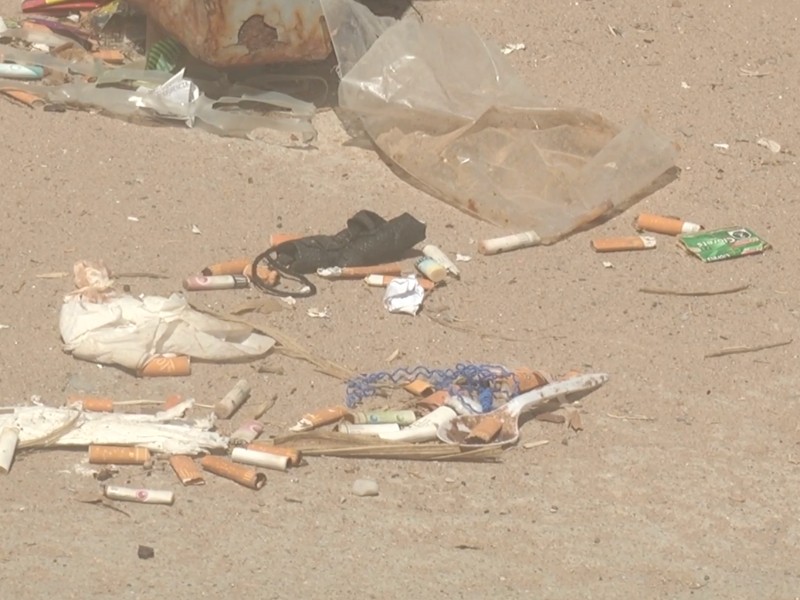 Realizarán jornada internacional por playas y costas limpias en el Alto Golfo