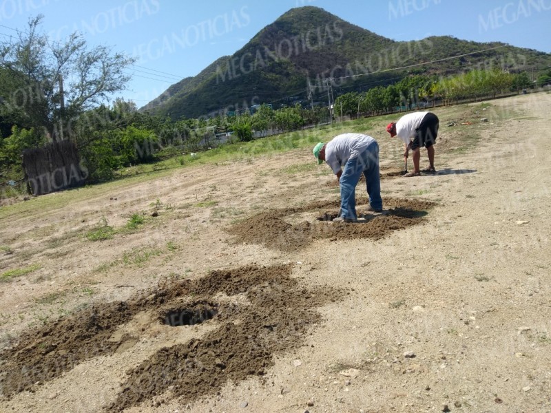 Realizarán proyecto de reforestación en Huilotepec