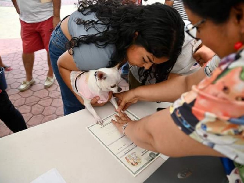 Realizarán registro de mascotas en Tuxpan