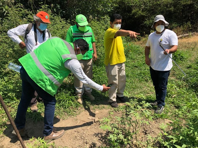 Realizan operativo para asegurar y reubicar cocodrilos