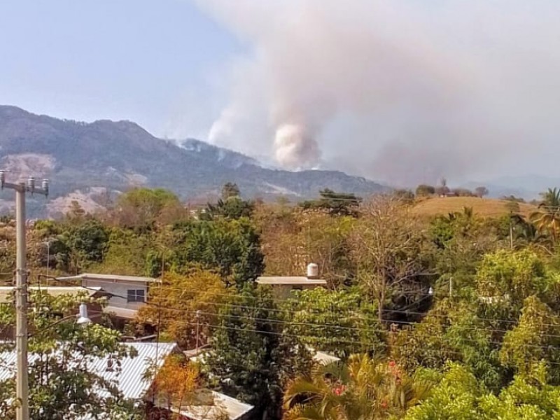 Reanudan bombardeos en sierra de Tecpan de Galeana, Guerrero