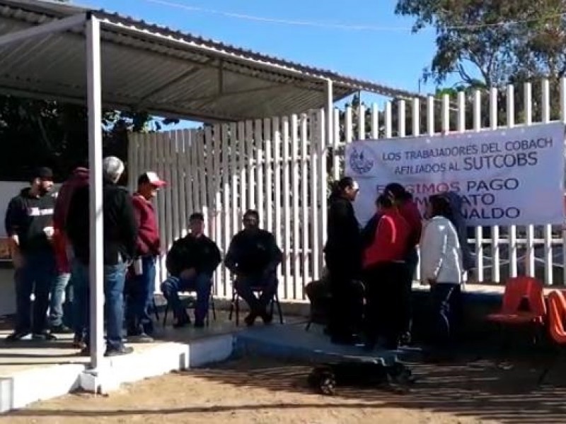 Reanudan clases en Cobach Sonora