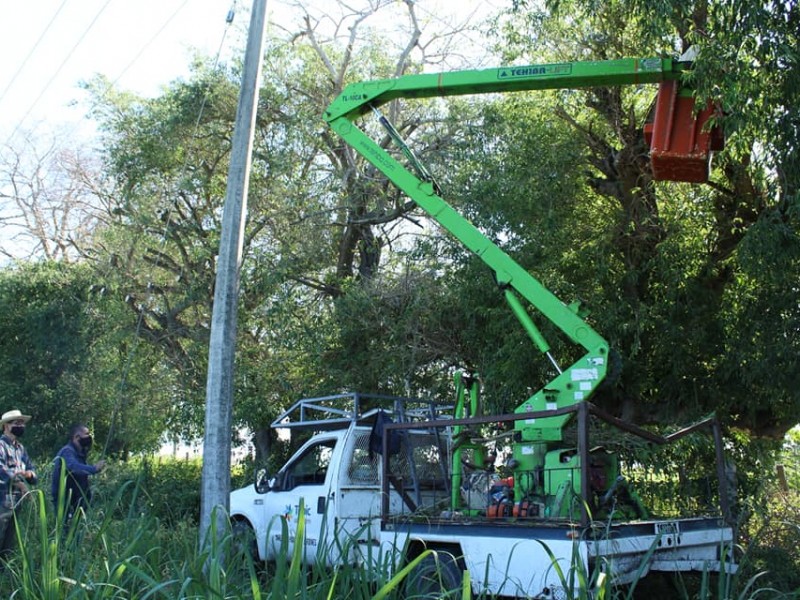 Reanudan servicio de agua tras poda de árboles