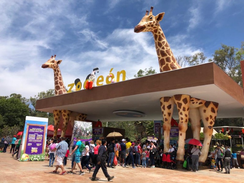 Recibe 60 mil visitantes el zooleón