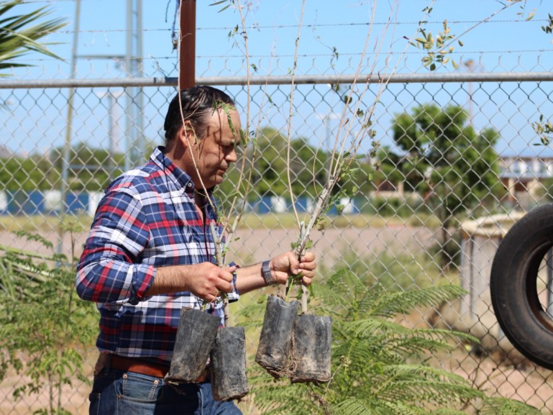 Recibe dirección de Ecología donación de plantas