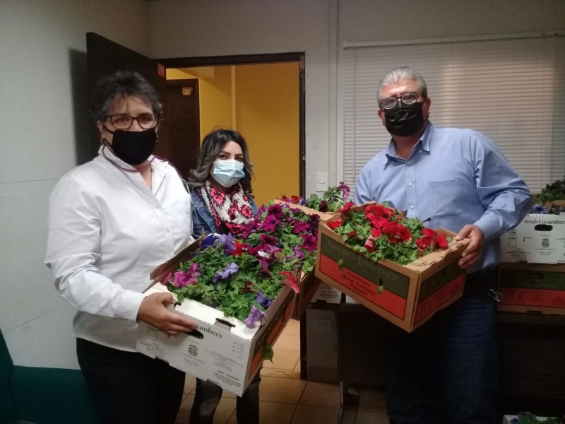 Recibe Ecología donativo de Petunias