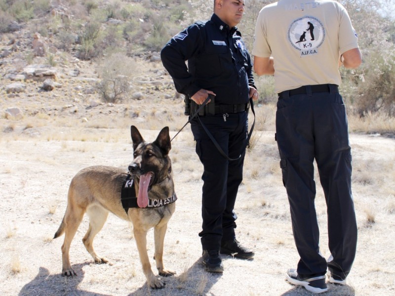 Recibe Policía Estatal certificación especializada para la unidad K-9