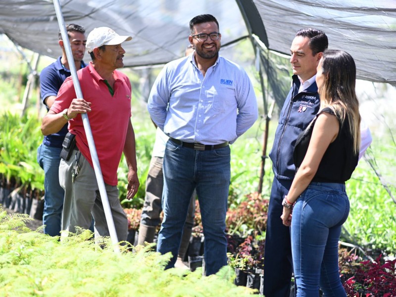 Recibe Zamora más de 28 mil árboles para reforestación