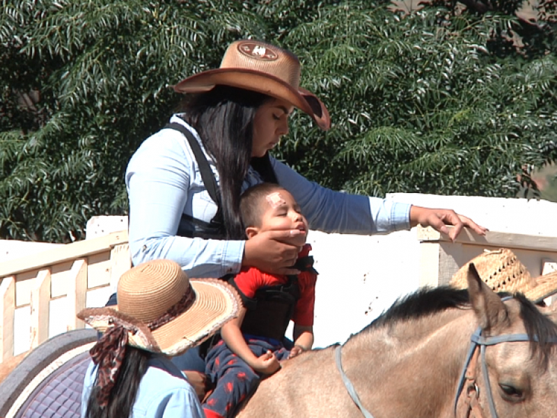 Reciben neuro-rehabilitación por medio de caballos