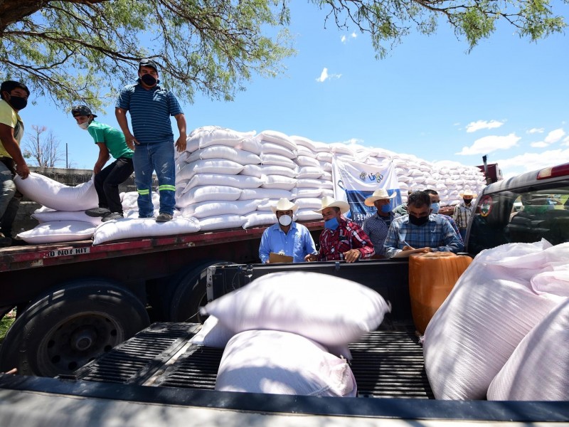 Reciben semilla de avena 300 productores